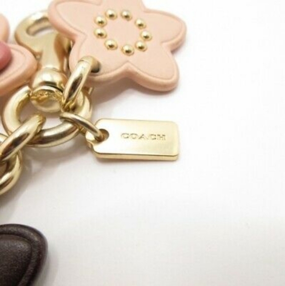 Coach Wildflower Bag Charm Key Chain 3D Leather Gold Chain Pink Multi Colors NWT - Picture 6 of 12